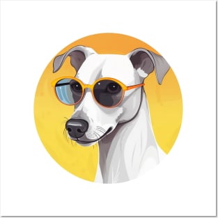 Cute Whippet Wearing Sunglasses Posters and Art